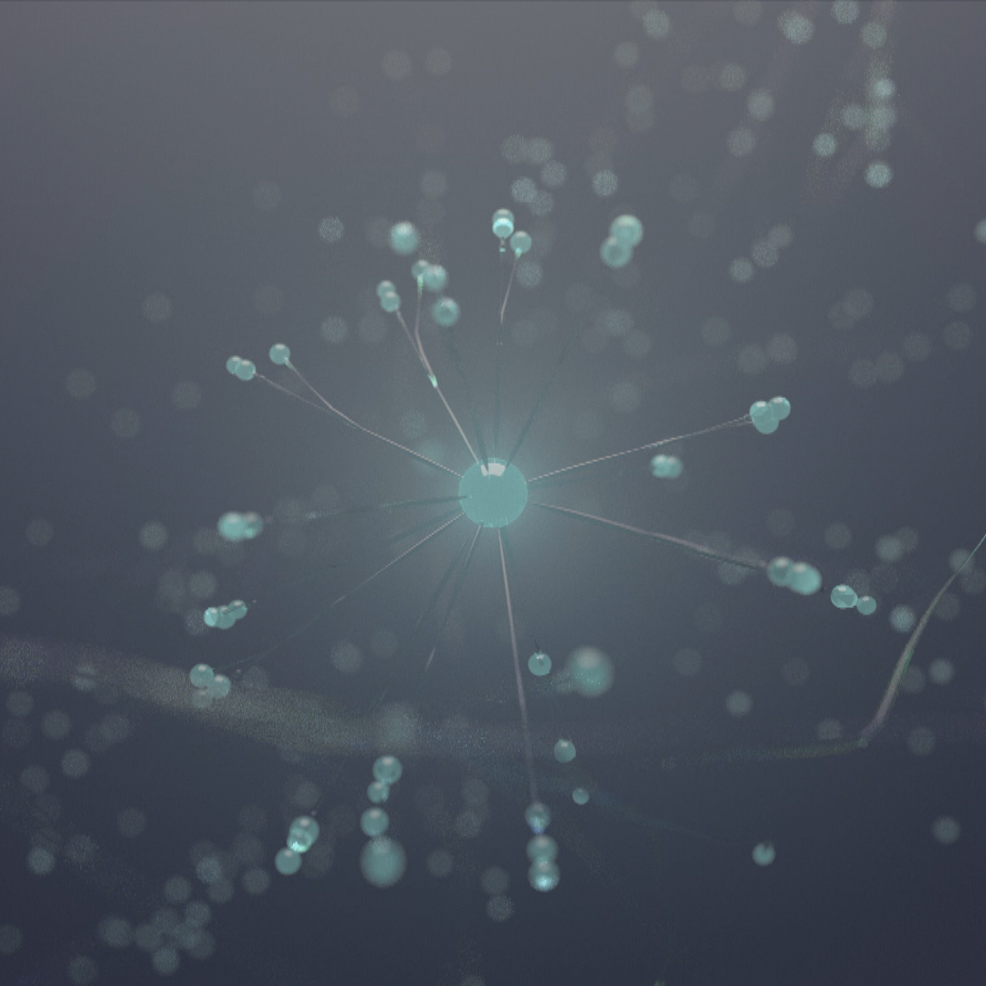 QuSens – A Better Future
